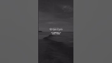 كتب عليكم القتال وهو كره لكم وعسى أن تكرهوا شيئا وهو خير لكم وعسى أن تحبوا شيئا | سورة مشاري العفاسي