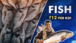 Hyderabad’s Biggest Fish Market Very Cheap Rate’s On Fish,Prawn&Crabs||Musheerabad Fish Market