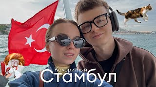 СТАМБУЛ Vlog 2024: лучшие места, изучение турецкого, мой день рождения и минусы города