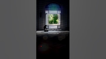 تلاوة جميلة🎧😌 | فدعا ربه أني مغلوب فانتصر