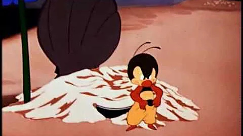 Donald - Combo Com 7 Episdios (Parte 5 de 5)