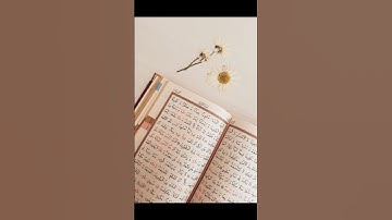 #سورة_الإخلاص #ikhlas #beautiful #quran ❤️❤️❤️❤️