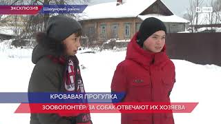 Врачам удалось стабилизировать состояние ребенка, на которого напала собака в Нижегородской области Врачам удалось стабилизировать состояние ребенка, на которого напала собака в Нижегородской области
