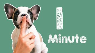 1 Minute Timer - Barking Dog Alarm