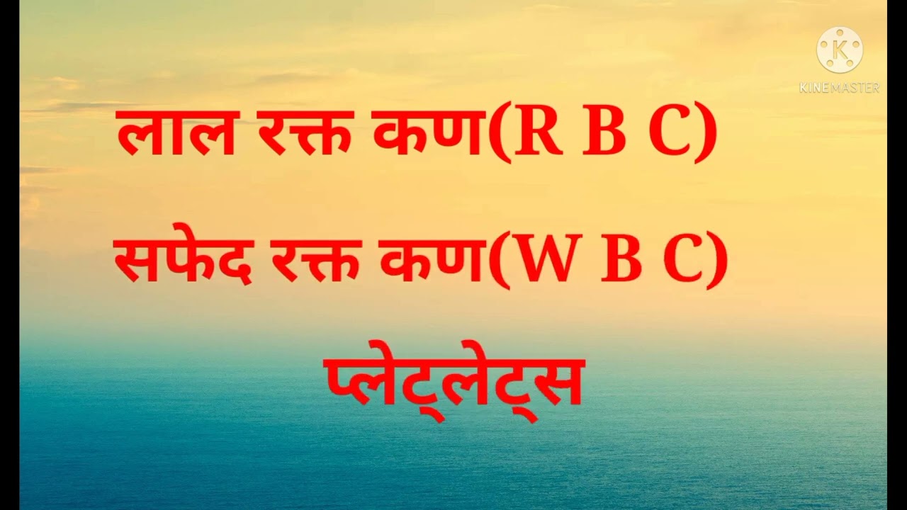 How Many Blood In Human Body YouTube How Many Blood In Human Body YouTube