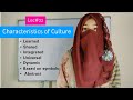 Characteristics of culture explained in urdu hindi  sociology lectures  societyopedia 