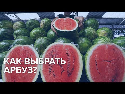 Арбузы – польза и вред самой большой ягоды - Доктор 24