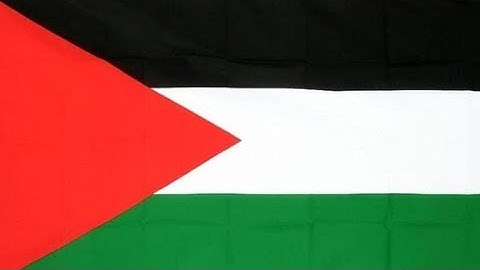 Find the general value of log(-i).