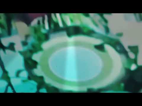 Kelp song beetles wonder pets super simple songs for kids