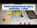 Какие 3 самых отрицательных качества есть у вас? | Общий онлайн расклад #13