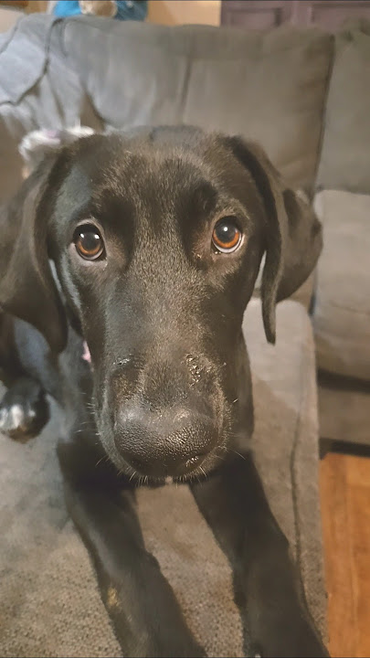 hold on a little longer