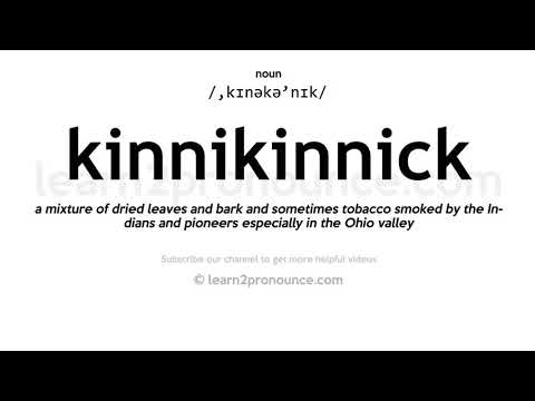 Произношение Kinnikinnick | Определение Kinnikinnick