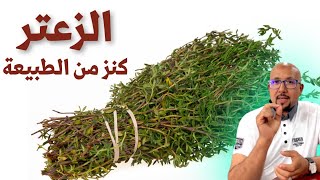 الزعتر لعلاج الزكام و علاج المعدة فوائد الزعتر الرائعة وصفات الدكتور عماد ميزاب Docteur Imad Mizab