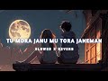 Tu mora janu mu tora janeman slowedreverb lofi song  swayam padhi aseema panda  odialofisong