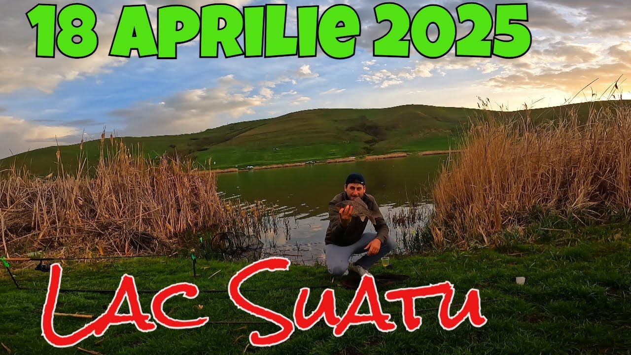 Pff.. Carașii Sunt la Bătaie, Capturi Dimineața Devreme pe Lacul Suatu #feeder #pescuit2025 #caras