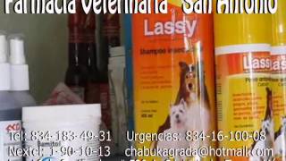 Farmacia Veterinaria San Antonio Cd Victoria Tamps Mex