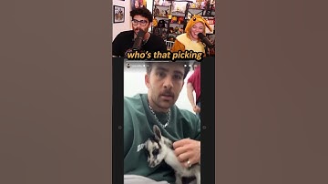 QTCinderella notices Ludwig