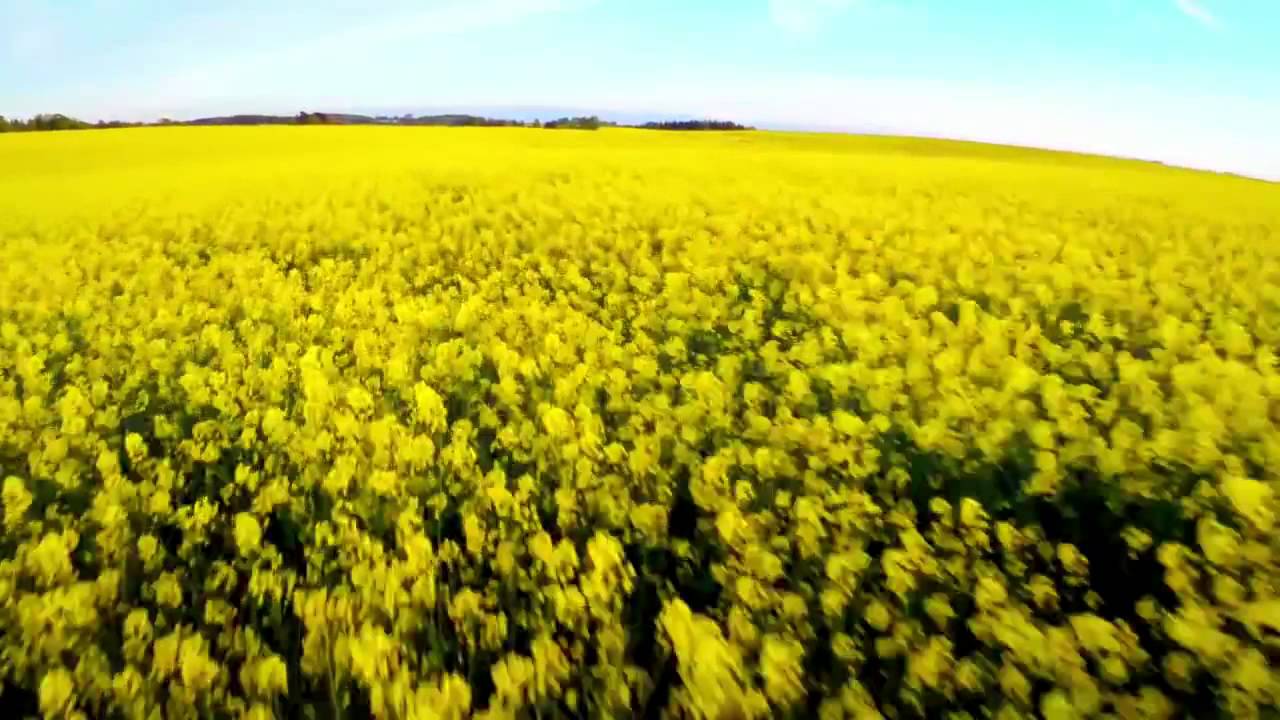 Subaru | "Äventyrsbilen" | Upright Music