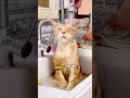 Ultimate Bath Time BLISS! 😍