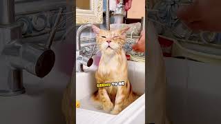 Ultimate Bath Time Bliss