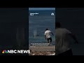 Man throws rock at endangered monk seal in Maui