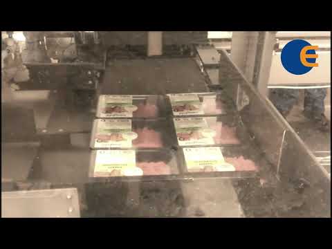 Case packer TV80 - packing meat into boxes