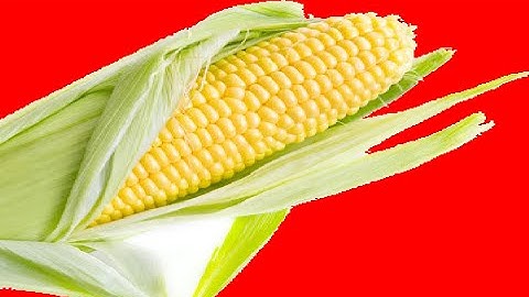 Pygame Basics: Displaying an Image