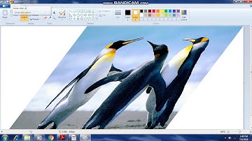 COMPUTER CLASS-3 LESSON -5 FUN WITH MS-PAINT (VIDEO-4)