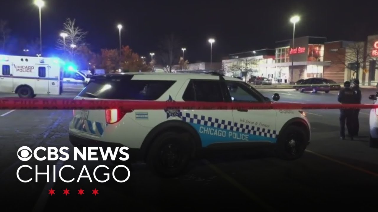 Police searching for driver in deadly hit-and-run on Chicago's South ...