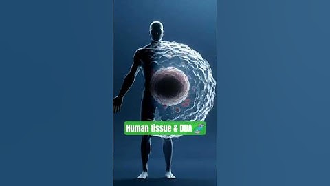 How DNA Controls Your Life | Inside a Living Cell (3D Animation)