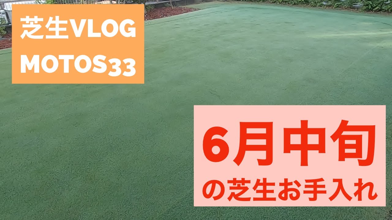 芝生 6月中旬のお手入れ記録 Vlog 21 6 26 Youtube