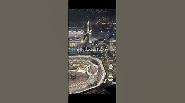 قتل الإنسان ما أكفره# سورة عبسى# محمد البراك