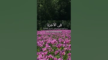 آیه: آیه ۲۰۱ سوره مبارکه بقره. #ربنا_آتنا، #بدون_موسیقی، #آرامش_قلب.