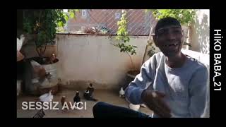 Hi̇ko Baba Dirri̇ İçeri̇r