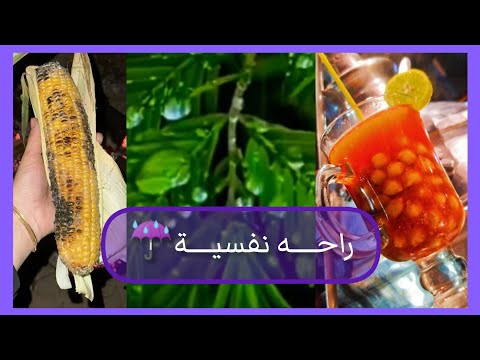 في أنتظار ليالي ديسمبر الباردة       أنا هيك مع دآدو
