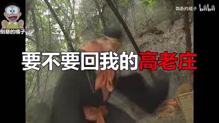 杀疯了！！还记得前阵子《西游记》师徒四人的《大唐Cypher》吗？现在老猪的solo单曲《高老庄》来了！！