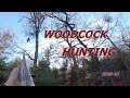 Woodcock hunting | Thrace -Greece | 2020-2021 | Caccia alla beccacia | Κυνήγι Μπεκάτσας | Çulluk avı