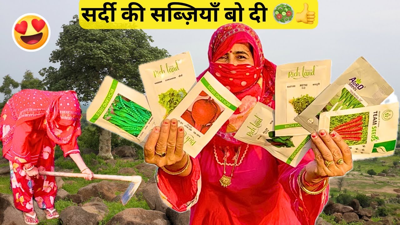 सर्दी की सब्ज़ियाँ बो दी 🥕🥗