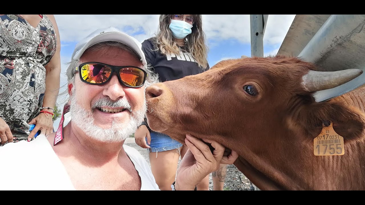 ✅2020 CHESTE  01 ◾  Visita Ganadería David Alfaro