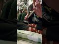 再編集 人間に遊ばれる猫 改 再編集 人間に遊ばれる猫 改