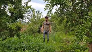 Mustafa Bıçakçı Gitme Lavinya