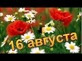 16 августа! Сегодня отмечают день Варенья, день Элвиса Пресли и другие праздники (короткая сводка).