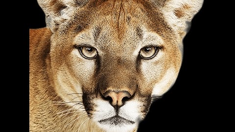 Installing OS X 10.8 Mountain Lion on VirtualBox