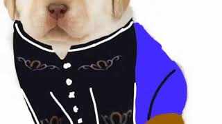 Download Perritos que curan la depresión xd Mp3 and Video Perritos que curan la depresión xd