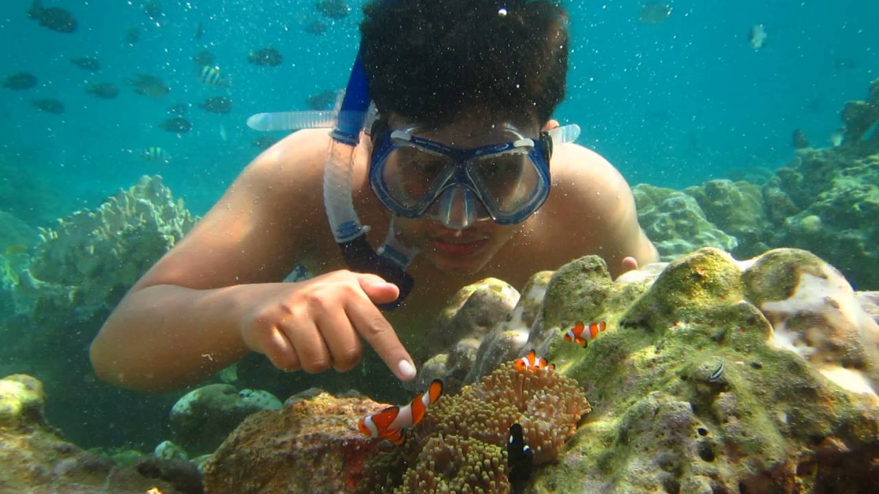 Snorkeling Dengan Ikan Nemo Di Sabang Aceh YouTube