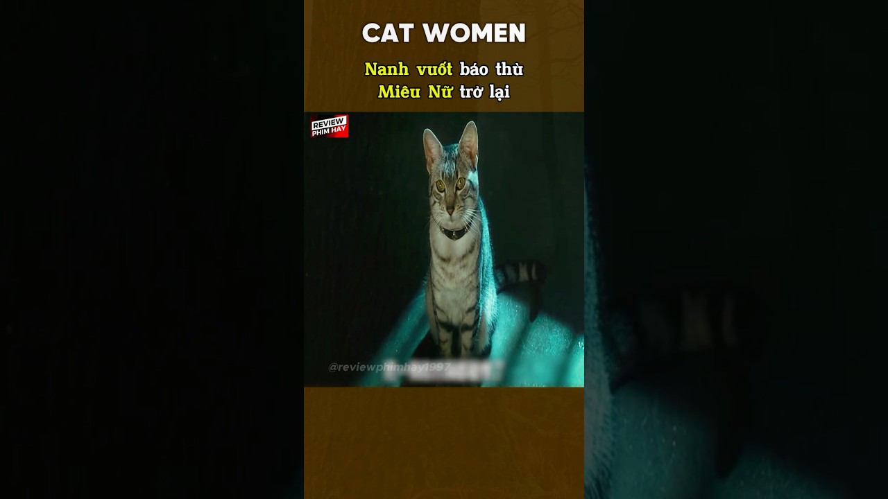 Miêu Nữ Báo Thù | Catwomen #ReviewPhimHay1997