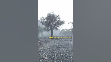 حالات واتساب تمطر السماء فيمطر معها الأمل مع قرآن كريم بصوت اسلام صبحي