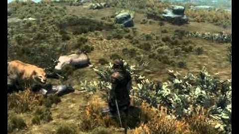 SkyTest Real Predators & Animals - better animal Behavior 12