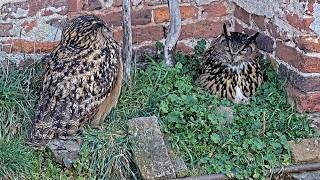 10.–11.04.2026: Erst nichts – dann genug