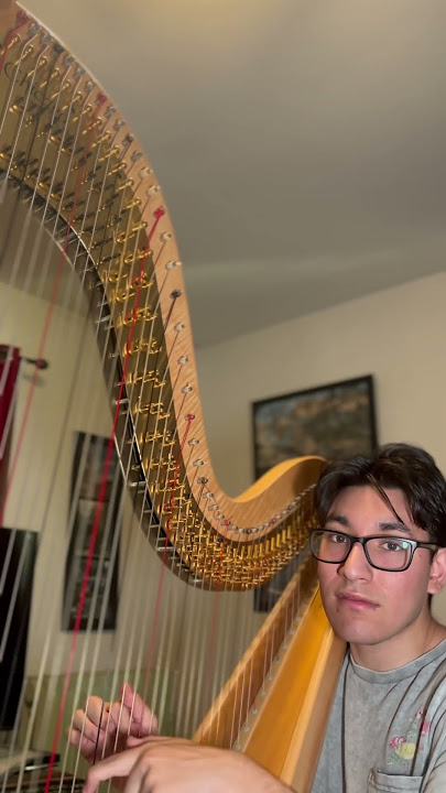 Strawberry Guy-Mrs Magic #harp #harpcover #music
